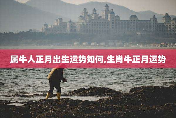 属牛人正月出生运势如何,生肖牛正月运势