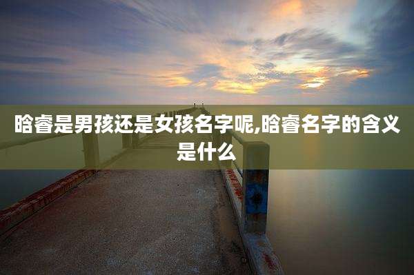 晗睿是男孩还是女孩名字呢,晗睿名字的含义是什么