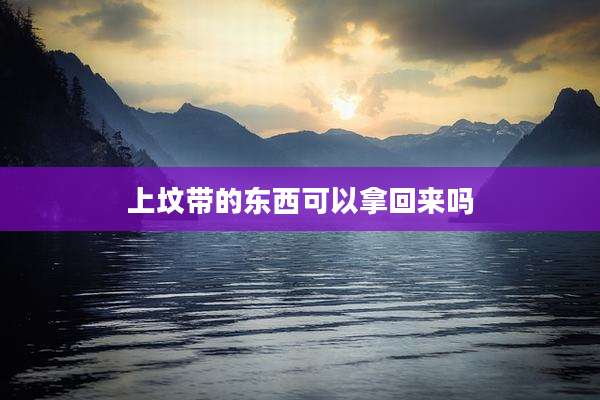 上坟带的东西可以拿回来吗