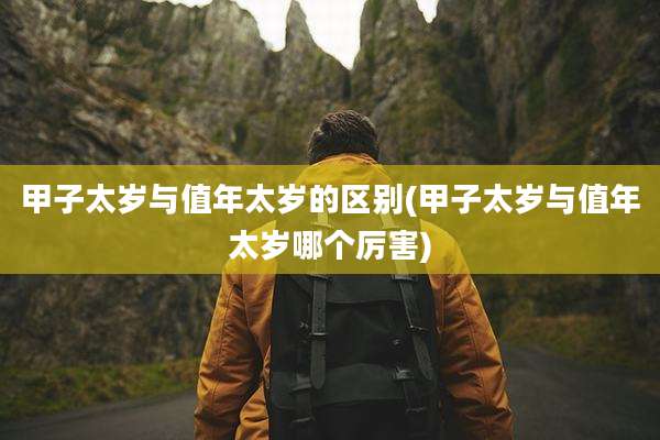 甲子太岁与值年太岁的区别(甲子太岁与值年太岁哪个厉害)