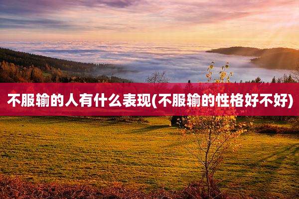 不服输的人有什么表现(不服输的性格好不好)