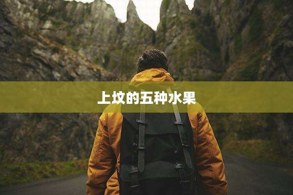上坟的五种水果