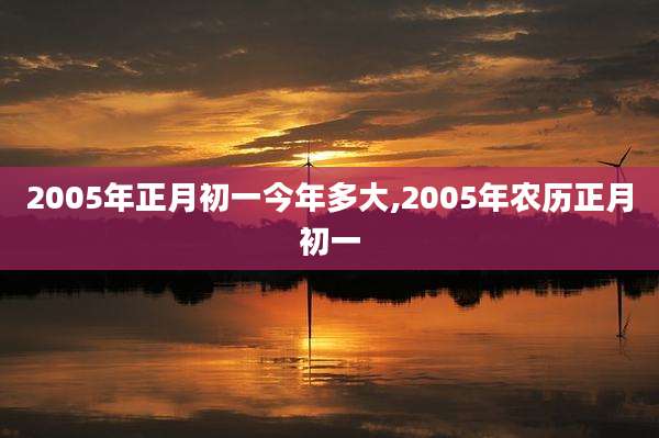2005年正月初一今年多大,2005年农历正月初一