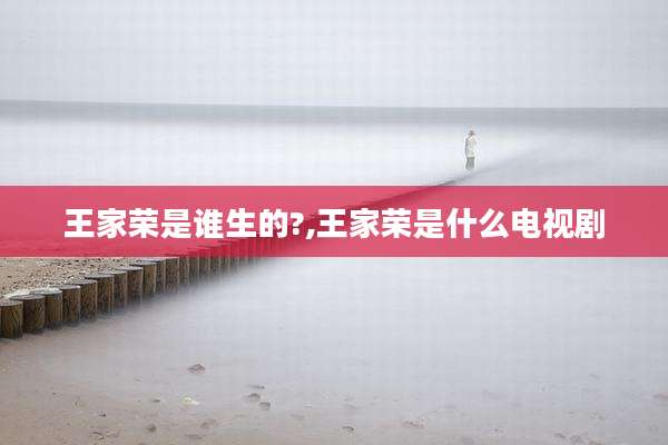王家荣是谁生的?,王家荣是什么电视剧