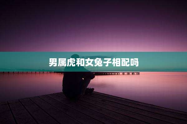 男属虎和女兔子相配吗