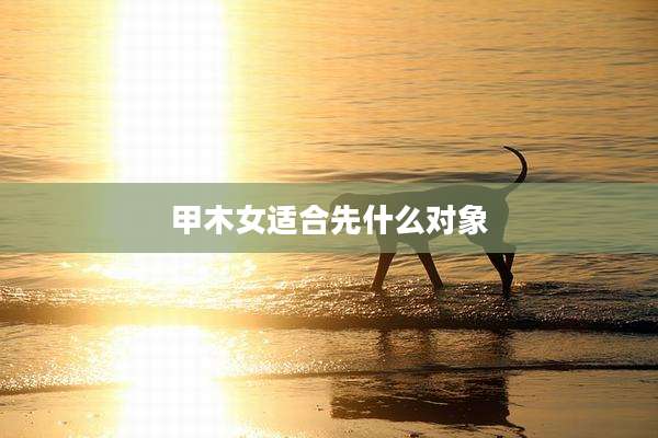 甲木女适合先什么对象