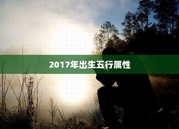 2017年出生五行属性