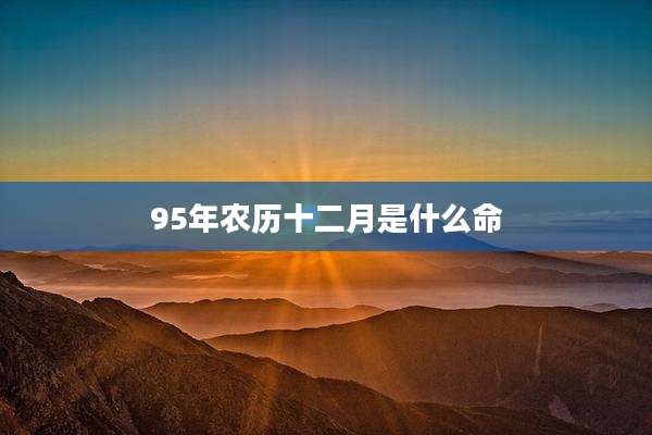 95年农历十二月是什么命