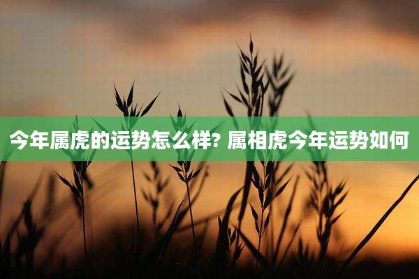 今年属虎的运势怎么样? 属相虎今年运势如何