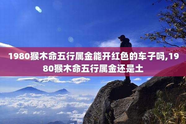 1980猴木命五行属金能开红色的车子吗,1980猴木命五行属金还是土