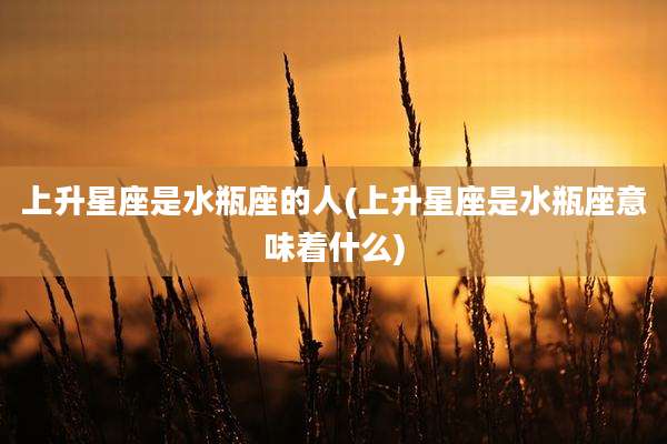 上升星座是水瓶座的人(上升星座是水瓶座意味着什么)