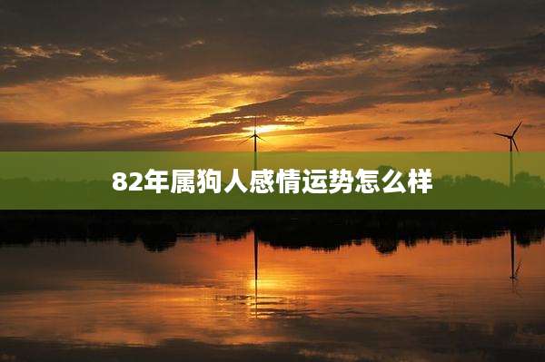 82年属狗人感情运势怎么样
