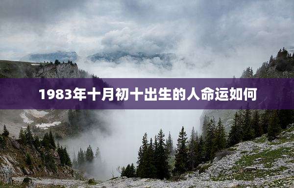 1983年十月初十出生的人命运如何