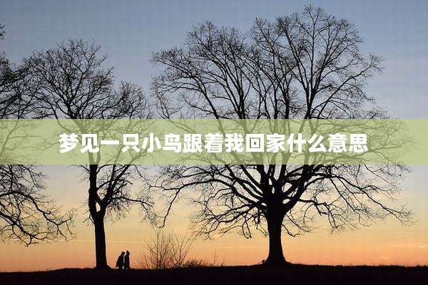 梦见一只小鸟跟着我回家什么意思