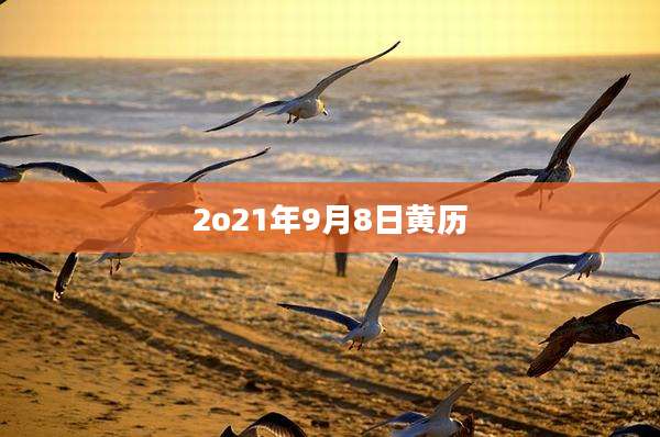 2o21年9月8日黄历