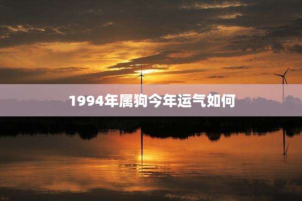 1994年属狗今年运气如何