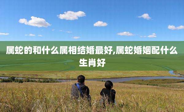 属蛇的和什么属相结婚最好,属蛇婚姻配什么生肖好