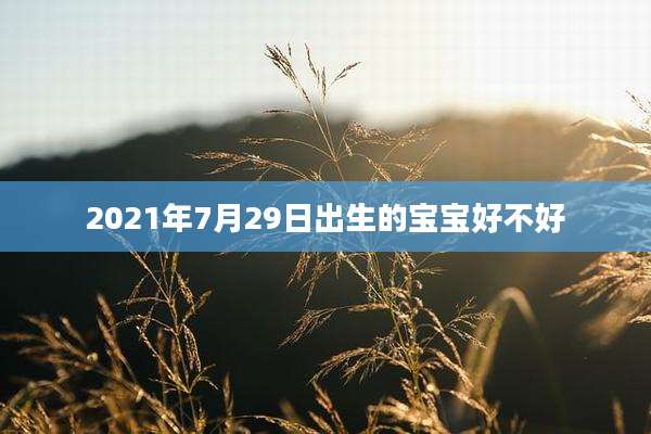 2021年7月29日出生的宝宝好不好