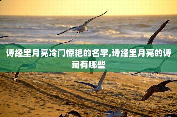 诗经里月亮冷门惊艳的名字,诗经里月亮的诗词有哪些