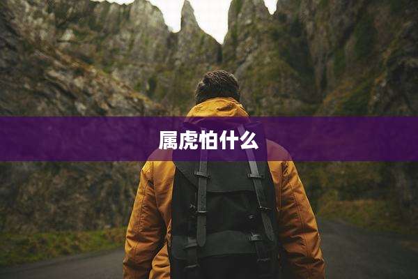属虎怕什么