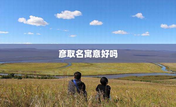 彦取名寓意好吗