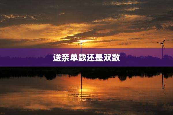 送亲单数还是双数