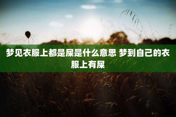 梦见衣服上都是屎是什么意思 梦到自己的衣服上有屎