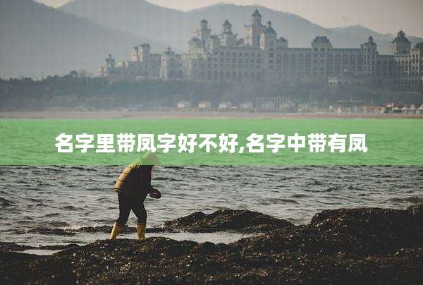 名字里带凤字好不好,名字中带有凤
