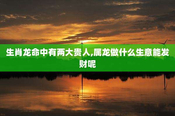 生肖龙命中有两大贵人,属龙做什么生意能发财呢