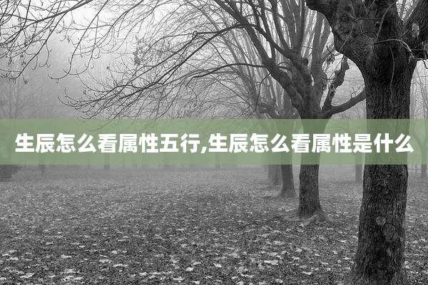 生辰怎么看属性五行,生辰怎么看属性是什么