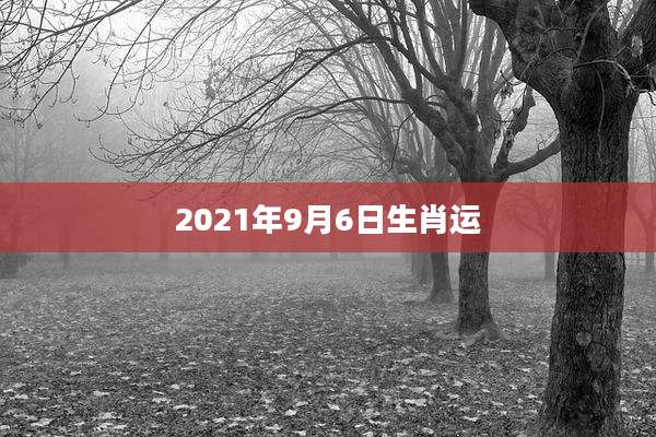 2021年9月6日生肖运