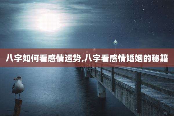 八字如何看感情运势,八字看感情婚姻的秘籍