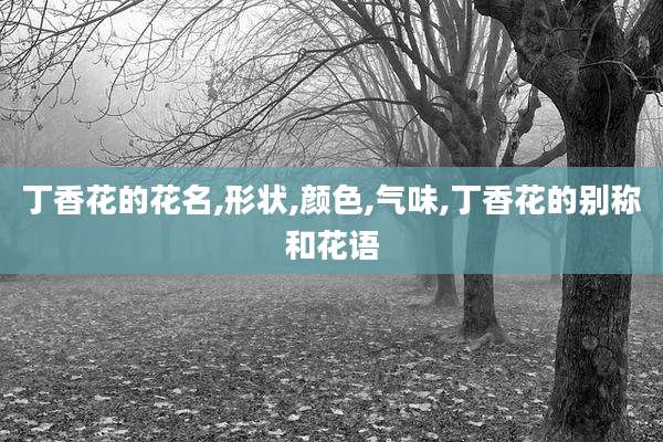 丁香花的花名,形状,颜色,气味,丁香花的别称和花语