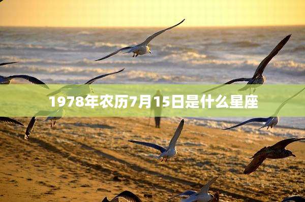1978年农历7月15日是什么星座