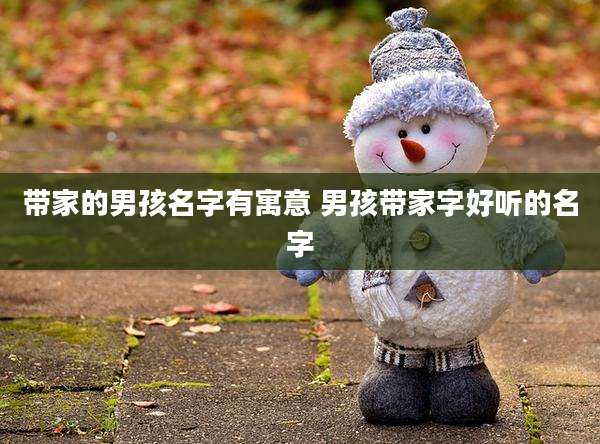 带家的男孩名字有寓意 男孩带家字好听的名字
