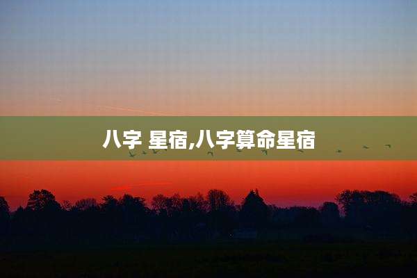 八字 星宿,八字算命星宿