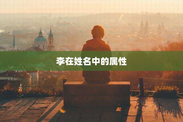 李在姓名中的属性