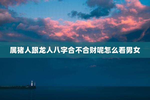 属猪人跟龙人八字合不合财呢怎么看男女