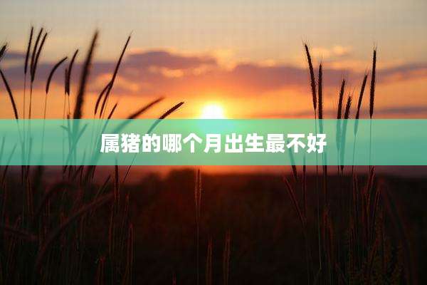 属猪的哪个月出生最不好