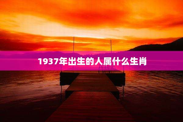 1937年出生的人属什么生肖