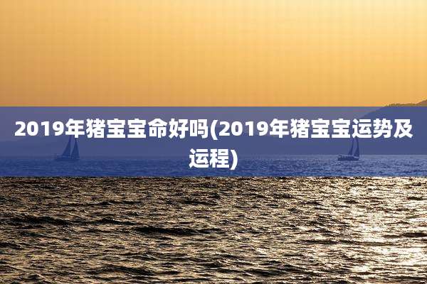 2019年猪宝宝命好吗(2019年猪宝宝运势及运程)