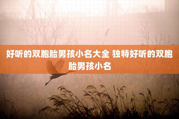 好听的双胞胎男孩小名大全 独特好听的双胞胎男孩小名