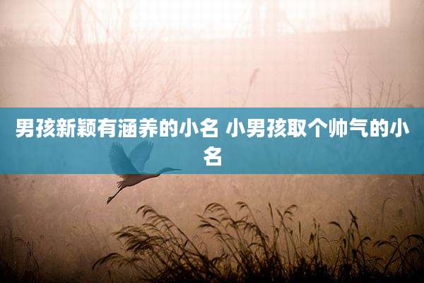 男孩新颖有涵养的小名 小男孩取个帅气的小名