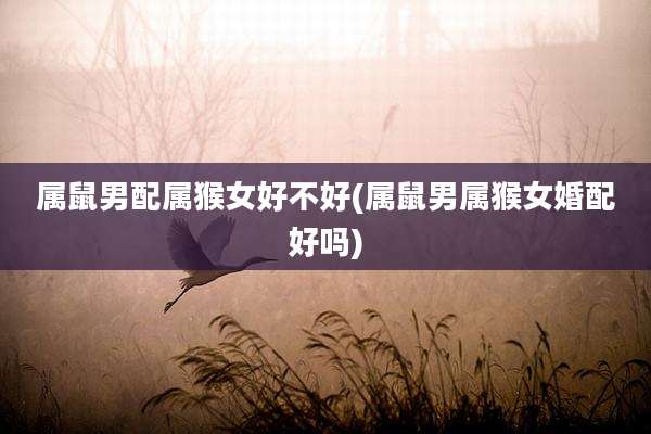 属鼠男配属猴女好不好(属鼠男属猴女婚配好吗)