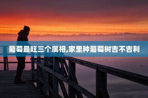 葡萄最旺三个属相,家里种葡萄树吉不吉利