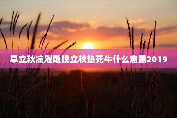 早立秋凉飕飕晚立秋热死牛什么意思2019