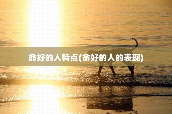 命好的人特点(命好的人的表现)