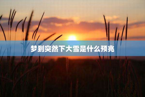 梦到突然下大雪是什么预兆