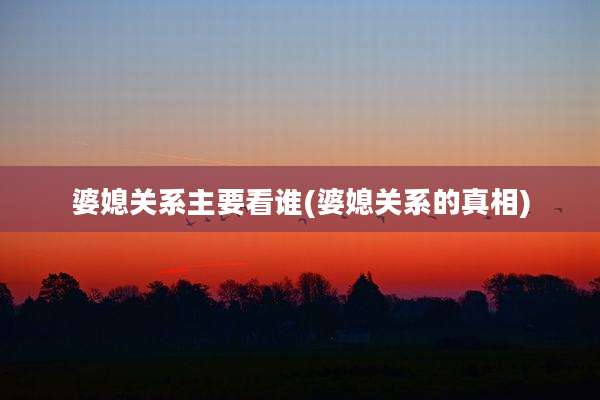 婆媳关系主要看谁(婆媳关系的真相)