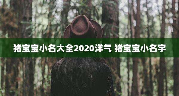 猪宝宝小名大全2020洋气 猪宝宝小名字